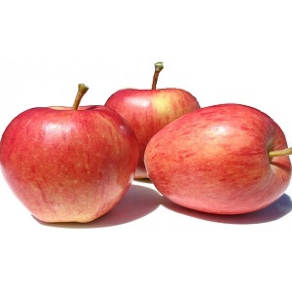 Braeburn Elma Fidanı